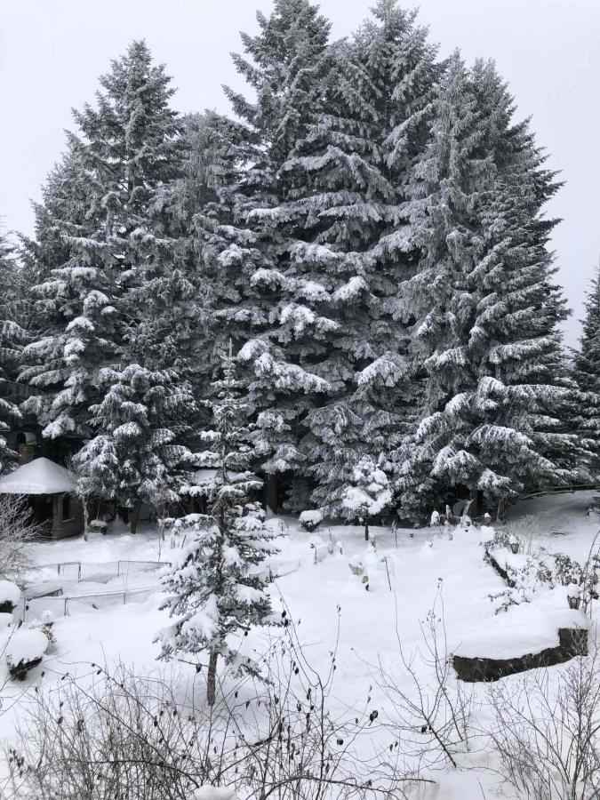Апартаменти Олівія Skhidnytsia Extérieur photo