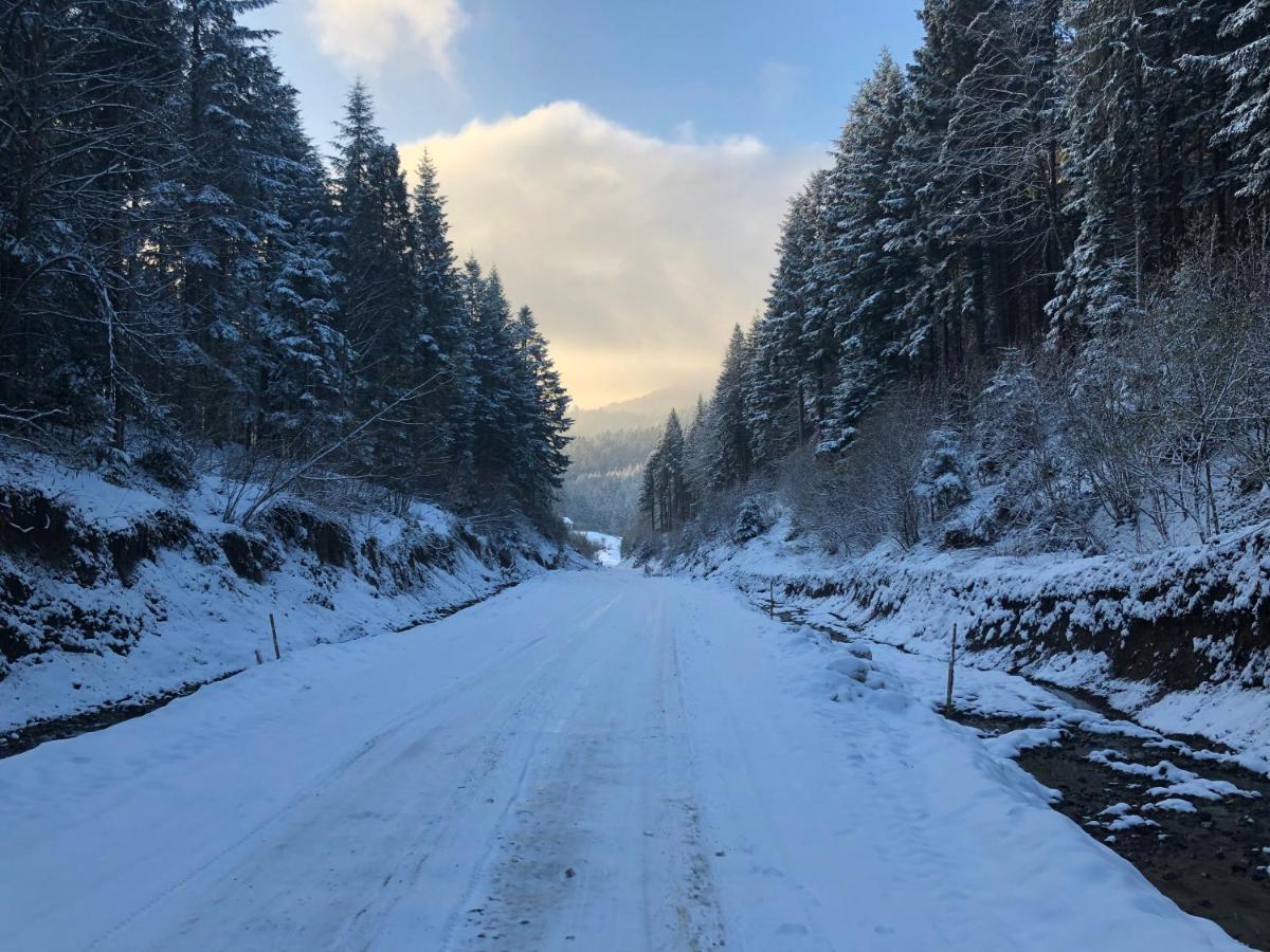 Апартаменти Олівія Skhidnytsia Extérieur photo